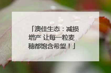 澳佳生态：减损增产 让每一粒麦穗都饱含希望！