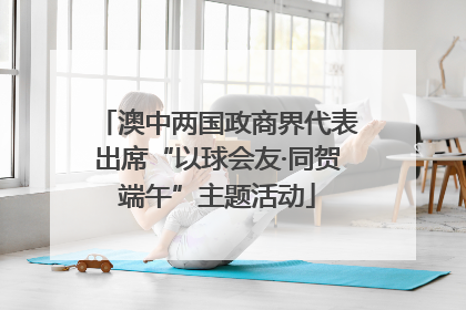 澳中两国政商界代表出席“以球会友·同贺端午”主题活动