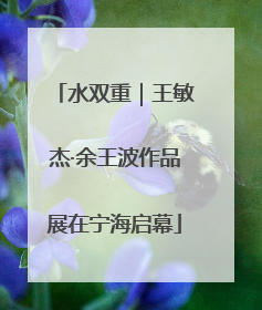 水双重｜王敏杰·余王波作品展在宁海启幕