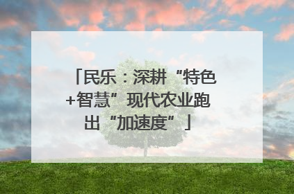 民乐：深耕“特色+智慧”现代农业跑出“加速度”