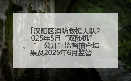 汉阳区消防救援大队2025年5月“双随机”、“一公开”监督抽查结果及2025年6月监督抽查任务公示
