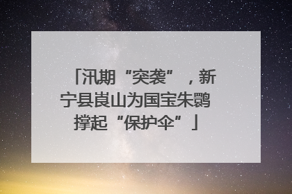 汛期“突袭”，新宁县崀山为国宝朱鹮撑起“保护伞”
