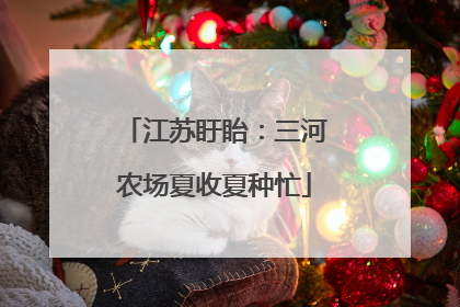 江苏盱眙：三河农场夏收夏种忙