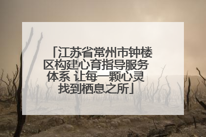 江苏省常州市钟楼区构建心育指导服务体系 让每一颗心灵找到栖息之所