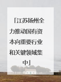 江苏扬州全力推动国有资本向重要行业和关键领域集中