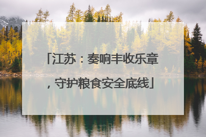 江苏：奏响丰收乐章，守护粮食安全底线