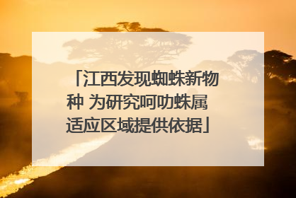 江西发现蜘蛛新物种 为研究呵叻蛛属适应区域提供依据