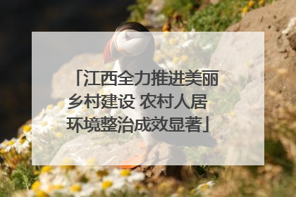 江西全力推进美丽乡村建设 农村人居环境整治成效显著