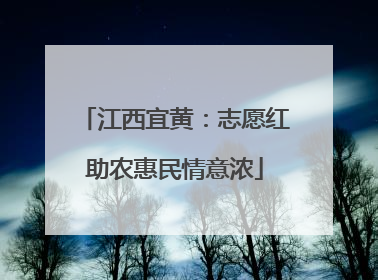 江西宜黄：志愿红助农惠民情意浓