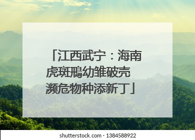 江西武宁：海南虎斑鳽幼雏破壳 濒危物种添新丁