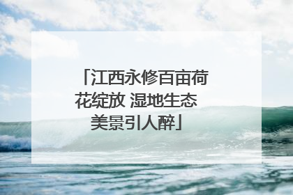 江西永修百亩荷花绽放 湿地生态美景引人醉