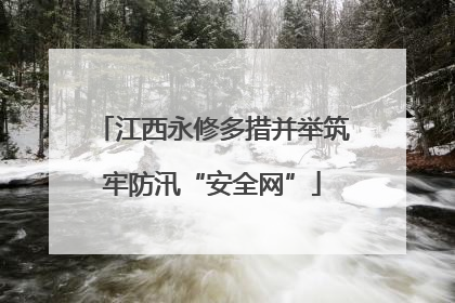 江西永修多措并举筑牢防汛“安全网”