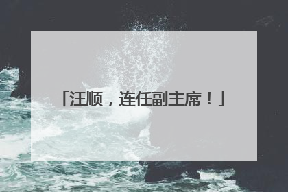 汪顺，连任副主席！