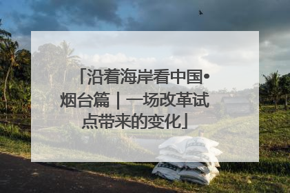 沿着海岸看中国•烟台篇｜一场改革试点带来的变化