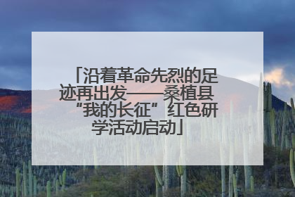 沿着革命先烈的足迹再出发——桑植县“我的长征”红色研学活动启动