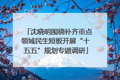 沈晓明围绕补齐重点领域民生短板开展“十五五”规划专题调研