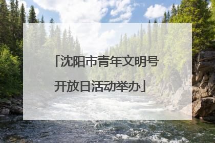 沈阳市青年文明号开放日活动举办