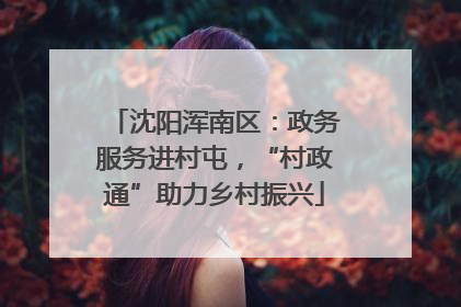 沈阳浑南区：政务服务进村屯，“村政通”助力乡村振兴