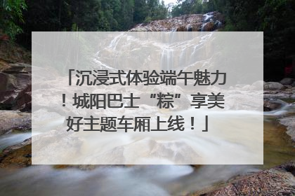 沉浸式体验端午魅力！城阳巴士“粽”享美好主题车厢上线！