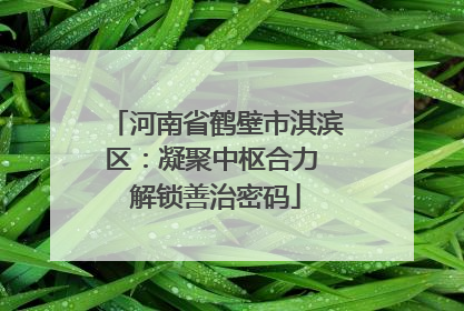 河南省鹤壁市淇滨区：凝聚中枢合力 解锁善治密码