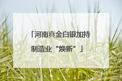 河南真金白银加持制造业“焕新”