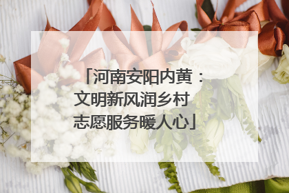 河南安阳内黄：文明新风润乡村 志愿服务暖人心