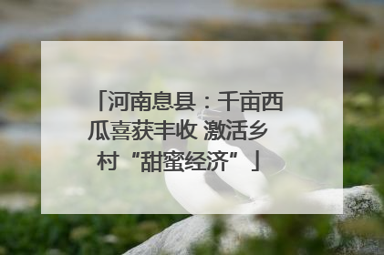 河南息县：千亩西瓜喜获丰收 激活乡村“甜蜜经济”