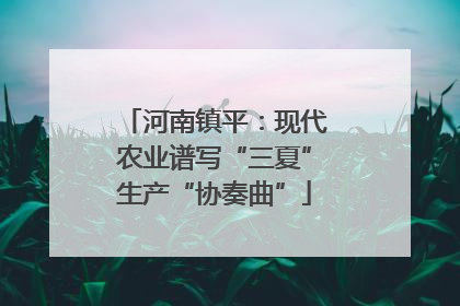 河南镇平：现代农业谱写“三夏”生产“协奏曲”