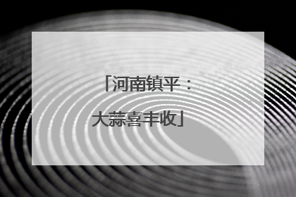 河南镇平：大蒜喜丰收