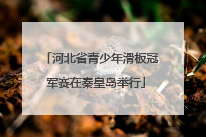 河北省青少年滑板冠军赛在秦皇岛举行