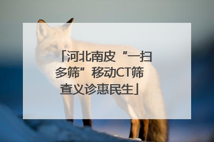 河北南皮“一扫多筛”移动CT筛查义诊惠民生