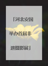 河北安国举办首届非遗摄影展