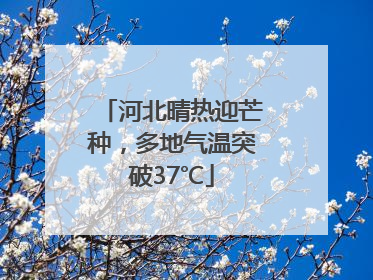 河北晴热迎芒种，多地气温突破37℃