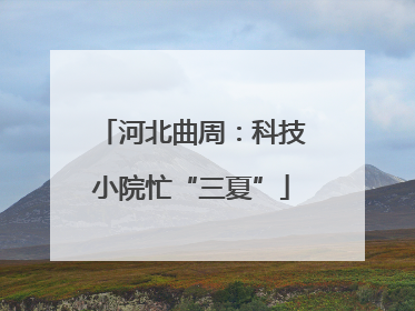 河北曲周：科技小院忙“三夏”