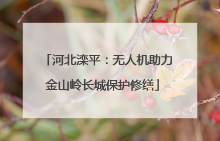 河北滦平：无人机助力金山岭长城保护修缮