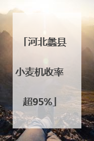 河北蠡县小麦机收率超95%