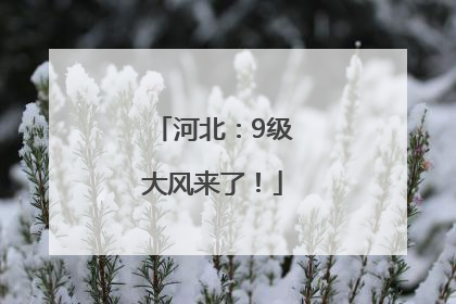 河北：9级大风来了！