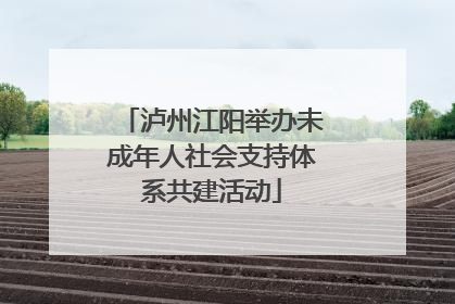 泸州江阳举办未成年人社会支持体系共建活动