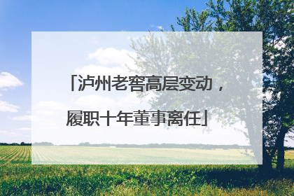 泸州老窖高层变动，履职十年董事离任