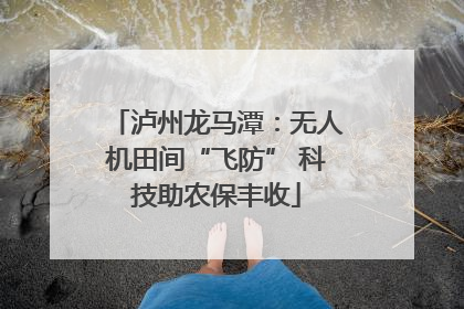 泸州龙马潭：无人机田间“飞防” 科技助农保丰收