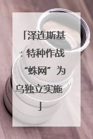 泽连斯基：特种作战“蛛网”为乌独立实施