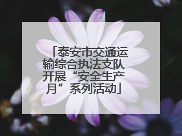 泰安市交通运输综合执法支队开展“安全生产月”系列活动