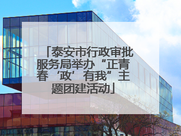 泰安市行政审批服务局举办“正青春‘政’有我”主题团建活动