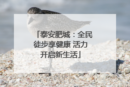 泰安肥城：全民徒步享健康 活力开启新生活