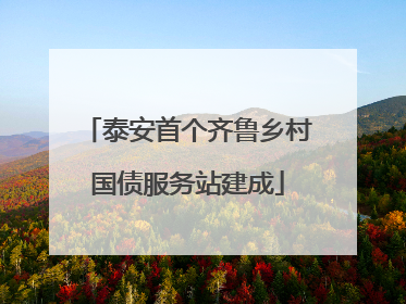 泰安首个齐鲁乡村国债服务站建成