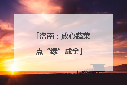 洛南：放心蔬菜点“绿”成金
