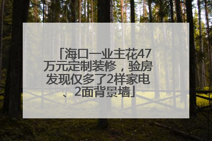 海口一业主花47万元定制装修，验房发现仅多了2样家电、2面背景墙