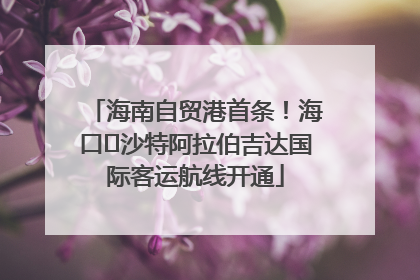 海南自贸港首条！海口⇌沙特阿拉伯吉达国际客运航线开通