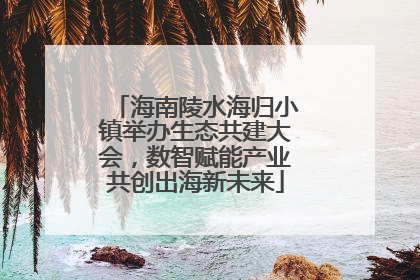 海南陵水海归小镇举办生态共建大会，数智赋能产业共创出海新未来