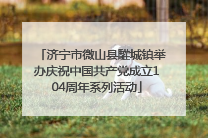济宁市微山县驩城镇举办庆祝中国共产党成立104周年系列活动
